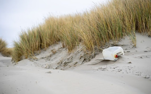 SAND DUNES THEME  from Chrome web store to be run with OffiDocs Chromium online