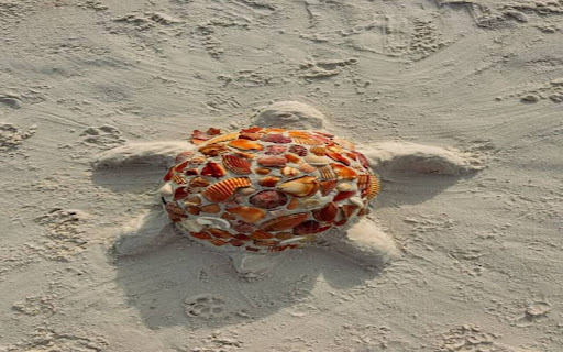 sand turtle wallpaper from Chrome web store to be run with OffiDocs Chromium online sand turtle wallpaper from Chrome web store to be run with OffiDocs Chromium online