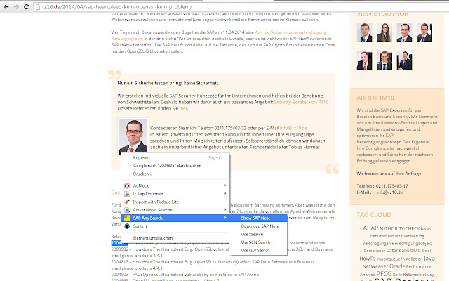SAP Any Search din magazinul web Chrome va fi rulat cu OffiDocs Chromium online