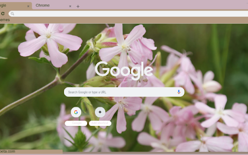 Saponaria  from Chrome web store to be run with OffiDocs Chromium online