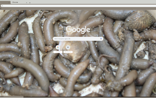 Sau Dat  from Chrome web store to be run with OffiDocs Chromium online
