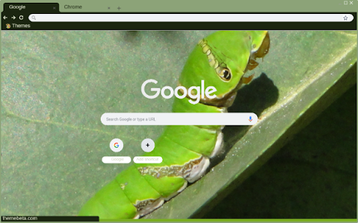 Sau Xanh  from Chrome web store to be run with OffiDocs Chromium online