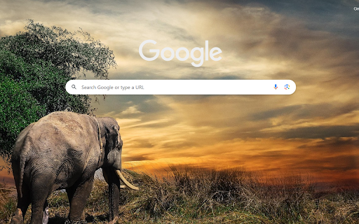 Savanna Sunset Stroll  from Chrome web store to be run with OffiDocs Chromium online