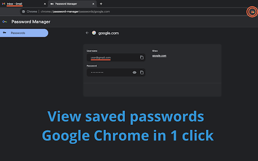 Saved passwords  from Chrome web store to be run with OffiDocs Chromium online