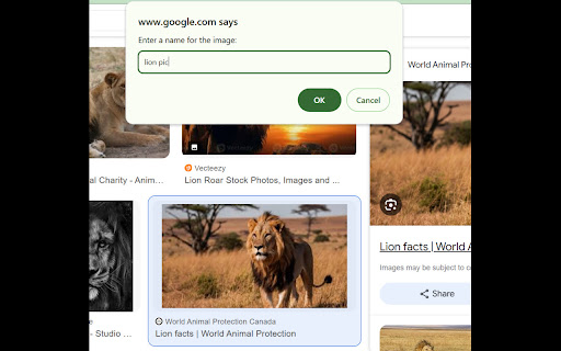 Save Image in Multiple Formats  from Chrome web store to be run with OffiDocs Chromium online