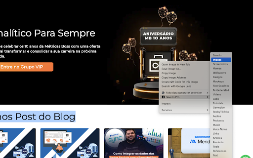 Save In Pro  from Chrome web store to be run with OffiDocs Chromium online