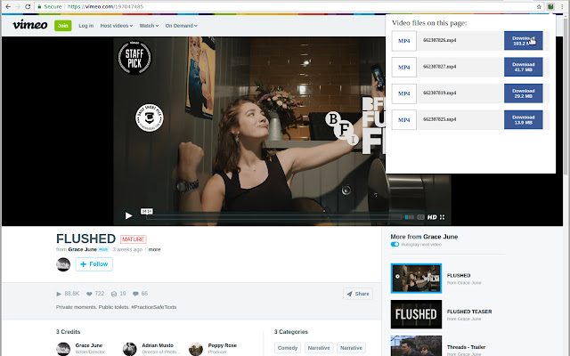 Save Video As  from Chrome web store to be run with OffiDocs Chromium online
