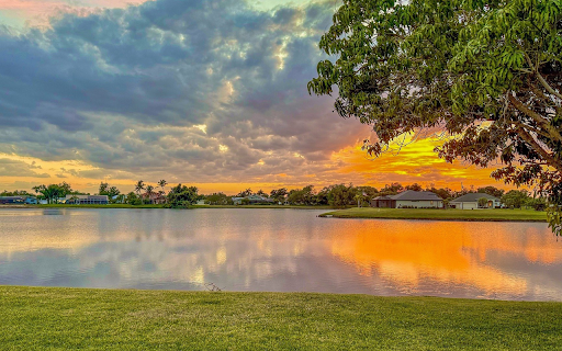 Scattering gold on the river  from Chrome web store to be run with OffiDocs Chromium online