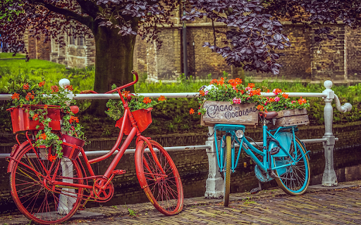 Scenery bicycles  from Chrome web store to be run with OffiDocs Chromium online
