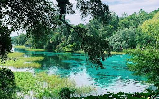 Scenic Shot of Rainbow Springs  from Chrome web store to be run with OffiDocs Chromium online