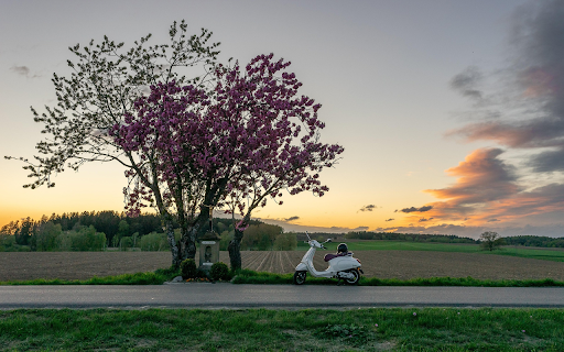 Scooter Under the Blossoming Sunset  from Chrome web store to be run with OffiDocs Chromium online