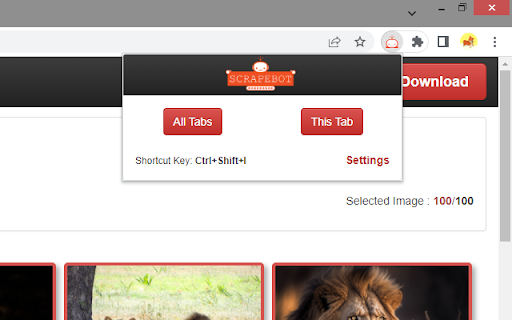 ScrapeBot 2.0.7  from Chrome web store to be run with OffiDocs Chromium online