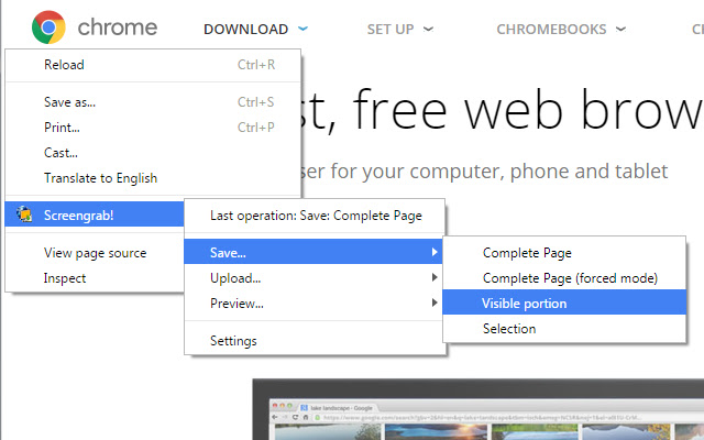 Screengrab!  from Chrome web store to be run with OffiDocs Chromium online