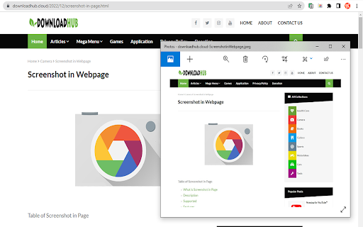 Screenshot in Page  from Chrome web store to be run with OffiDocs Chromium online