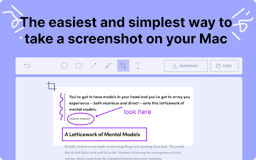 Screenshot on mac  from Chrome web store to be run with OffiDocs Chromium online