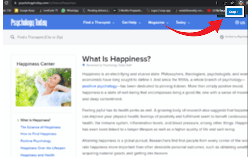 Screenshot Pro : Full page screenshot  from Chrome web store to be run with OffiDocs Chromium online