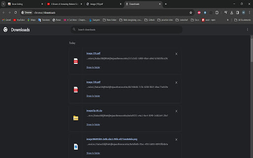 ScreenShot Snap  from Chrome web store to be run with OffiDocs Chromium online