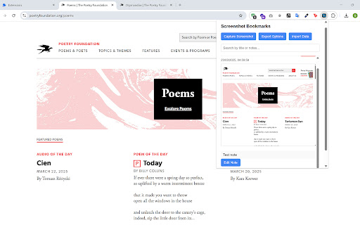Screenshotter  from Chrome web store to be run with OffiDocs Chromium online