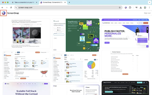 Screen Snap  from Chrome web store to be run with OffiDocs Chromium online