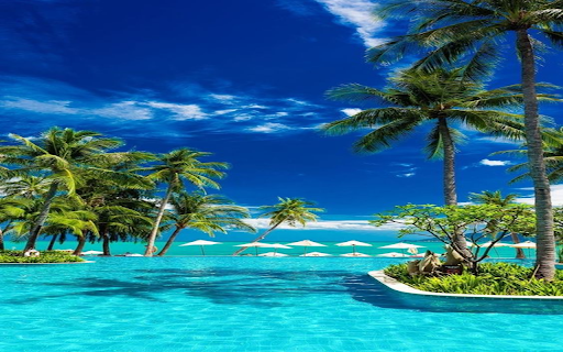 Sea and coconut tree wallpaper  from Chrome web store to be run with OffiDocs Chromium online