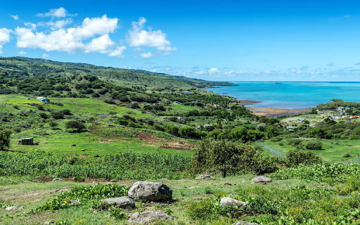 Sea and green meadows  from Chrome web store to be run with OffiDocs Chromium online