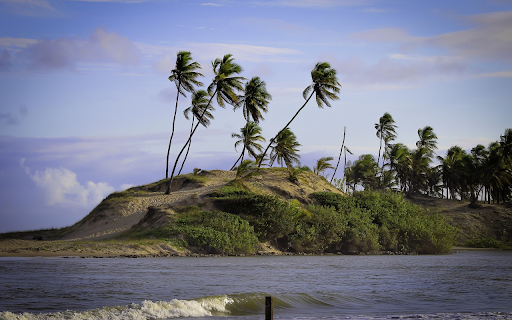 Sea and mudflats  from Chrome web store to be run with OffiDocs Chromium online