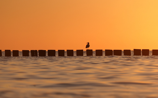 Sea embankment  from Chrome web store to be run with OffiDocs Chromium online