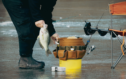 Sea fisherman  from Chrome web store to be run with OffiDocs Chromium online