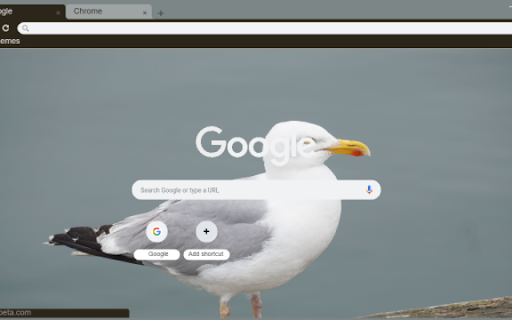 Seagull  from Chrome web store to be run with OffiDocs Chromium online