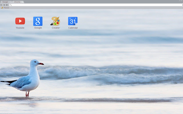 Seagull On Beach  from Chrome web store to be run with OffiDocs Chromium online