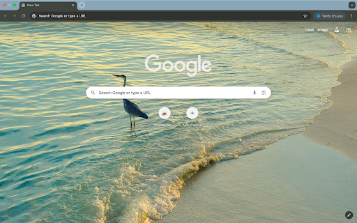 seagulls and seashore  from Chrome web store to be run with OffiDocs Chromium online