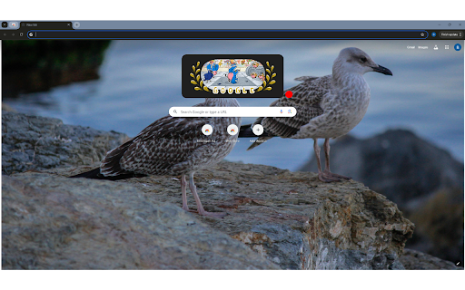 Seagulls on a Rock  from Chrome web store to be run with OffiDocs Chromium online