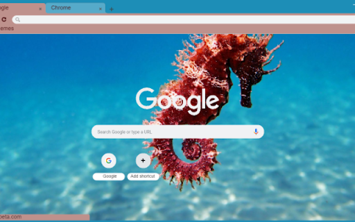 Seahorse  from Chrome web store to be run with OffiDocs Chromium online