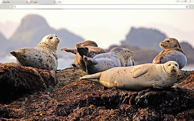 Seals  from Chrome web store to be run with OffiDocs Chromium online