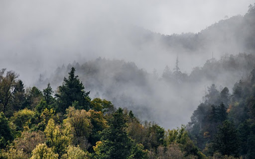 SEA OF CLOUDS Theme  from Chrome web store to be run with OffiDocs Chromium online