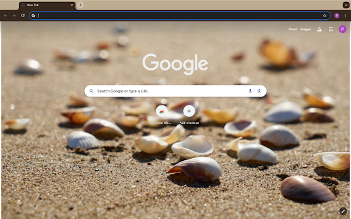 Sea Shells  from Chrome web store to be run with OffiDocs Chromium online