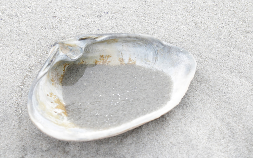 Seashells and sand  from Chrome web store to be run with OffiDocs Chromium online