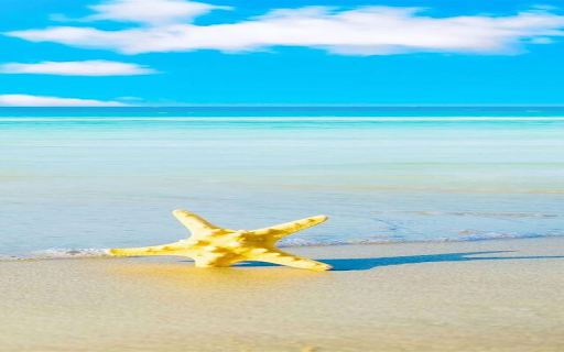 Sea starfish wallpaper  from Chrome web store to be run with OffiDocs Chromium online