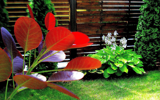 Secret garden  from Chrome web store to be run with OffiDocs Chromium online