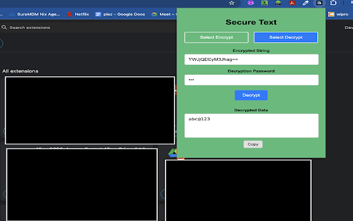 Secure Text  from Chrome web store to be run with OffiDocs Chromium online