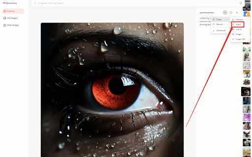 SeedMidjourney  from Chrome web store to be run with OffiDocs Chromium online