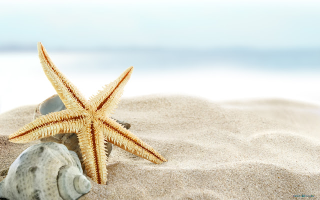 See Star  from Chrome web store to be run with OffiDocs Chromium online