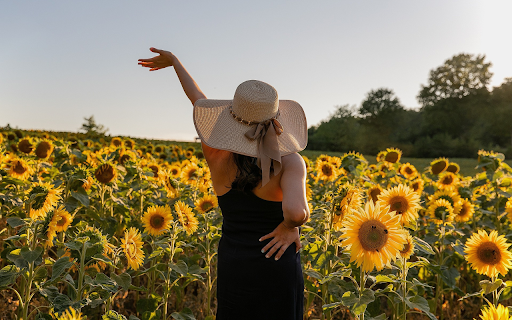 See sunflowers  from Chrome web store to be run with OffiDocs Chromium online