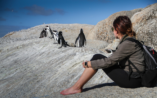 See the penguins  from Chrome web store to be run with OffiDocs Chromium online