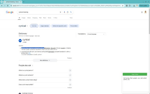 Selected Text Notes  from Chrome web store to be run with OffiDocs Chromium online