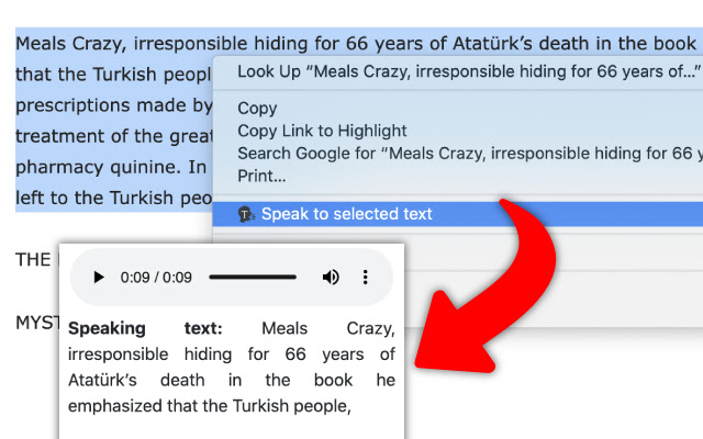 Selected text to speech  from Chrome web store to be run with OffiDocs Chromium online