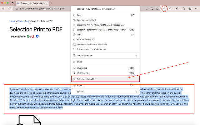Selection Print to PDF  from Chrome web store to be run with OffiDocs Chromium online