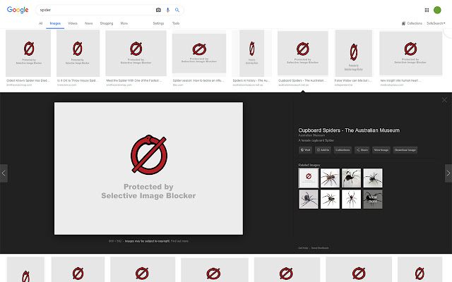 Selective Image Blocker  from Chrome web store to be run with OffiDocs Chromium online