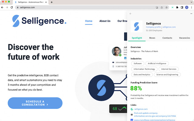 Selligence  from Chrome web store to be run with OffiDocs Chromium online