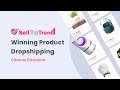 Sell The Trend Winning Product Dropshipping  from Chrome web store to be run with OffiDocs Chromium online